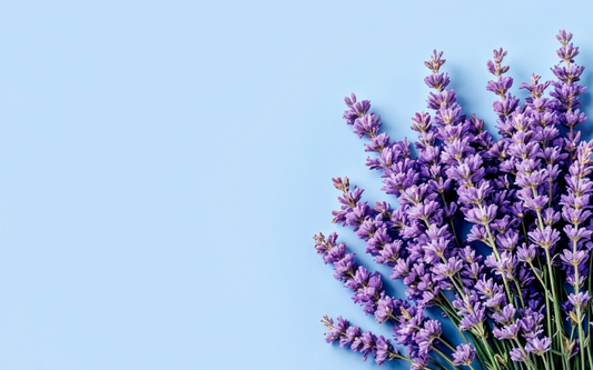 The Science of Lavender: Why It Works